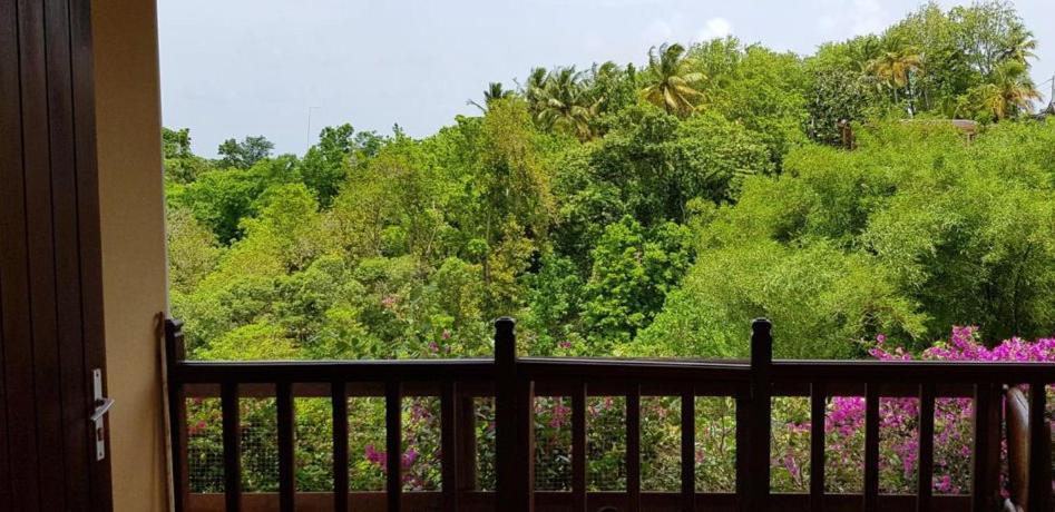 לה גוסייר Les Villas Du Bambou - Appartement Azul De 1 A 3 Pers מראה חיצוני תמונה